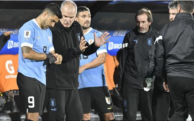 开云官网-苏亚雷斯炮轰贝尔萨到底有什么真相？